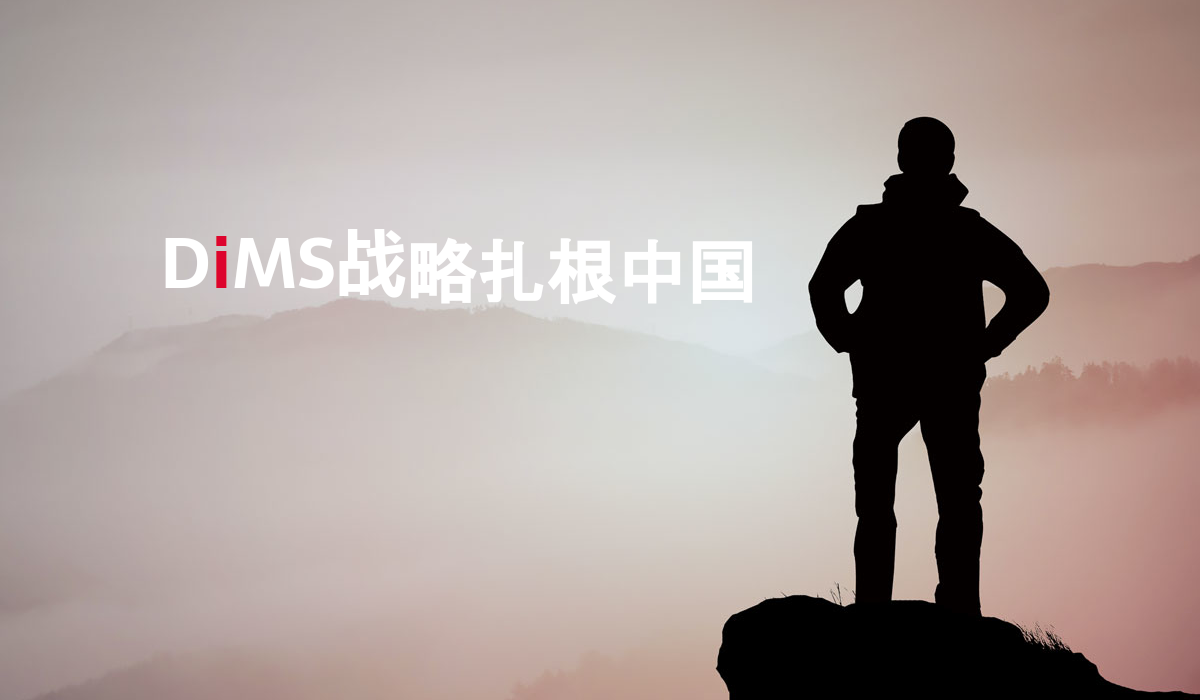 DiMS战略扎根中国
